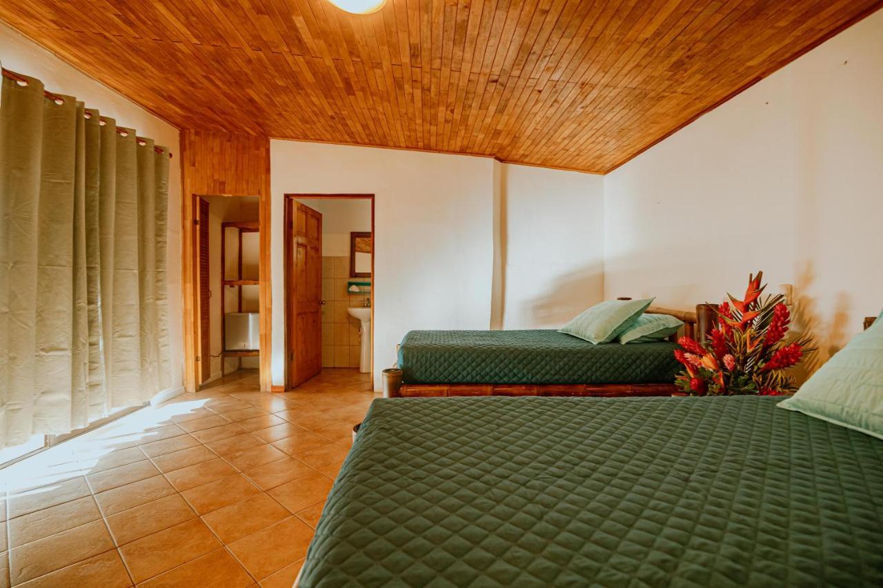 Hotel Planeta Sano Manuel Antonio Exteriér fotografie