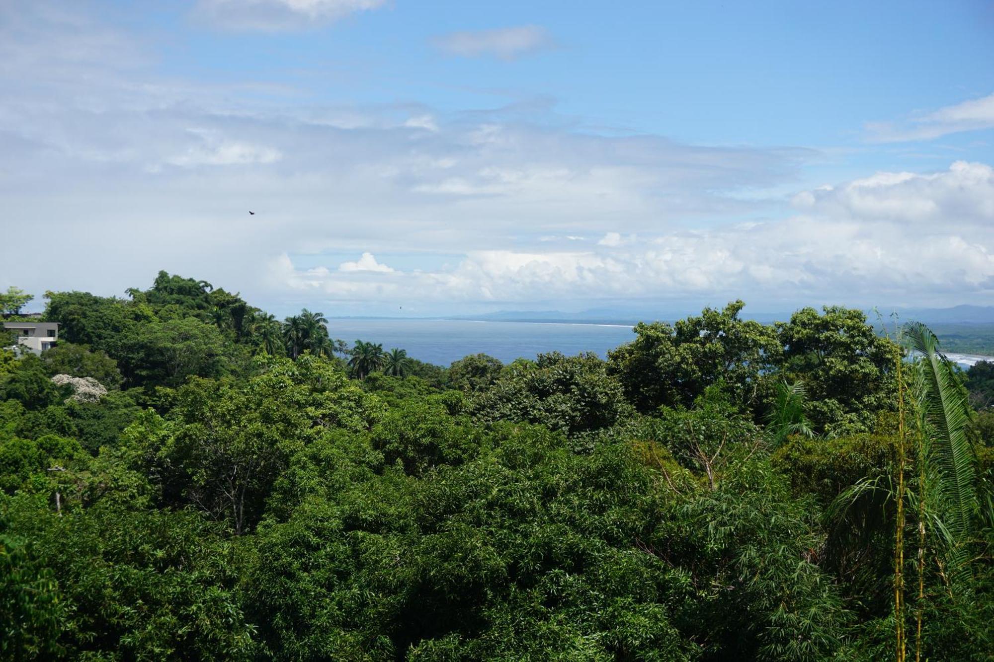 Hotel Planeta Sano Manuel Antonio Exteriér fotografie