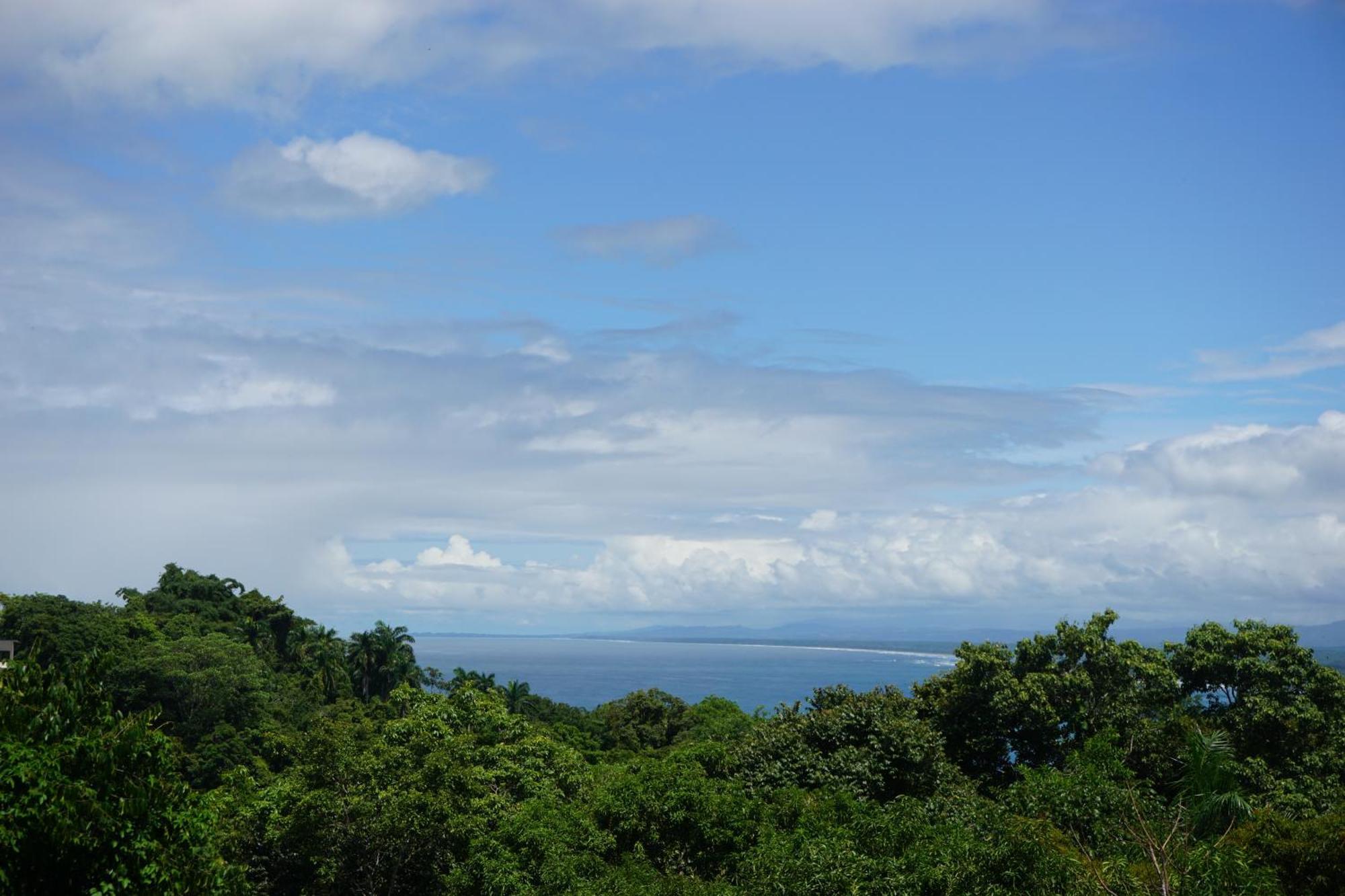 Hotel Planeta Sano Manuel Antonio Exteriér fotografie