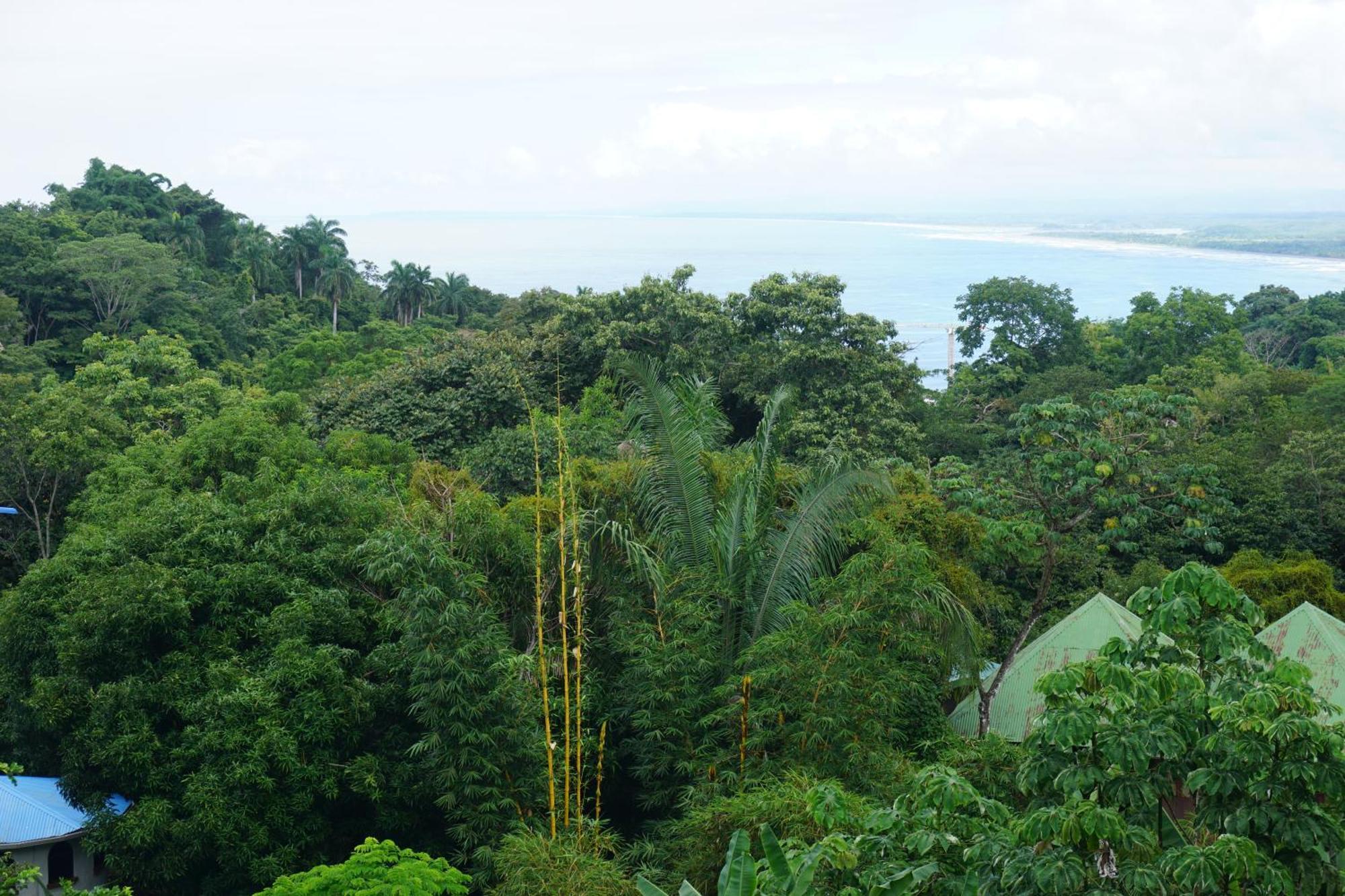 Hotel Planeta Sano Manuel Antonio Exteriér fotografie